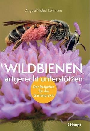 Cover for Angela Niebel-Lohmann · Wildbienen artgerecht unterstützen (Paperback Book) (2022)
