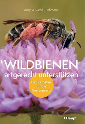 Cover for Angela Niebel-Lohmann · Wildbienen artgerecht unterstützen (Taschenbuch) (2022)