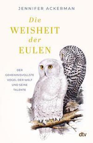 Cover for Jennifer Ackerman · Die Weisheit der Eulen (Book) (2024)