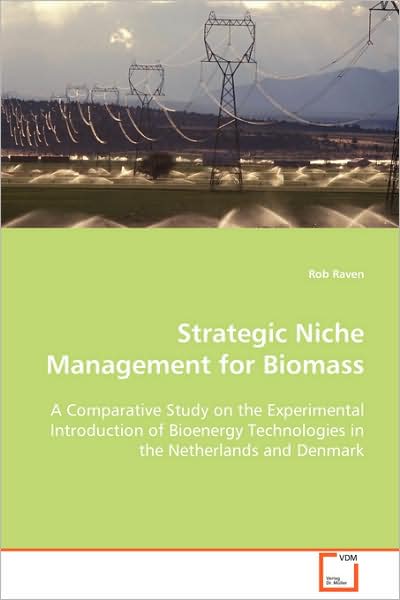 Cover for Rob Raven · Strategic Niche Management for Biomass: a Comparative Study on the Experimental Introductionof Bioenergy Technologies in the Netherlands and Denmark (Eindhoven Centre for Innovation Studies) (Paperback Book) (2008)