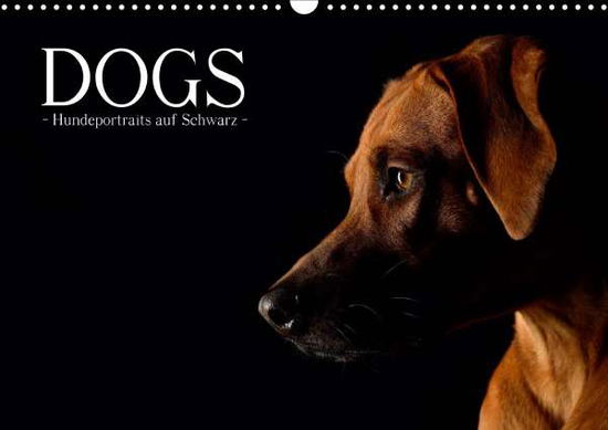 Cover for Noack · Dogs (Wandkalender 2021 DIN A3 qu (Book)