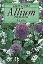 Cover for Dilys Davies · Allium, Zierlauch (Hardcover Book) (1992)