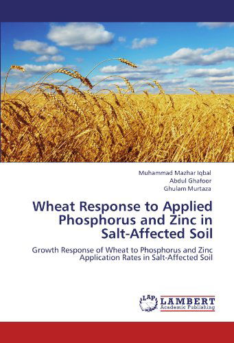 Cover for Ghulam Murtaza · Wheat Response to Applied Phosphorus and Zinc in Salt-affected Soil: Growth Response of Wheat to Phosphorus and Zinc Application Rates in Salt-affected Soil (Paperback Book) (2012)