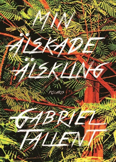 Cover for Gabriel Tallent · Min älskade älskling (ePUB) (2018)