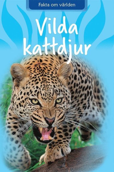 Cover for Sarah Snashall · Fakta om världen: Vilda kattdjur (Inbunden Bok) (2021)
