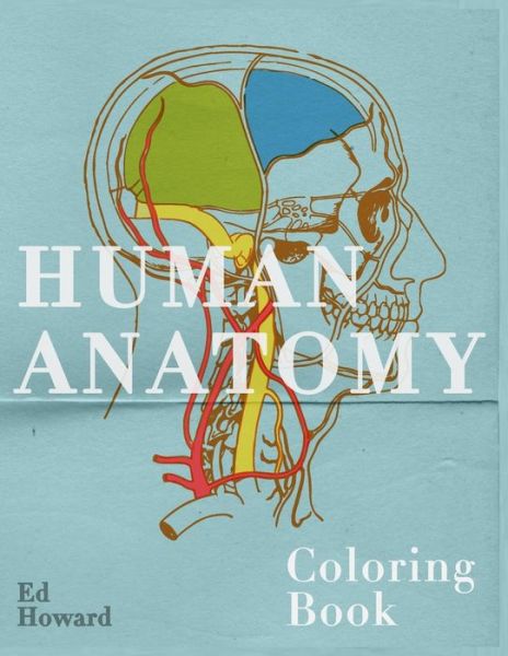 Human Anatomy Coloring Book - Ed Howard - Książki - Independently Published - 9798649312394 - 29 maja 2020