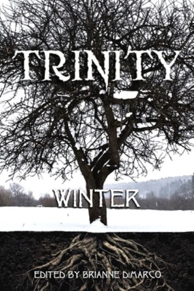 Cover for Lauren Patzer · Trinity (Pocketbok) (2021)