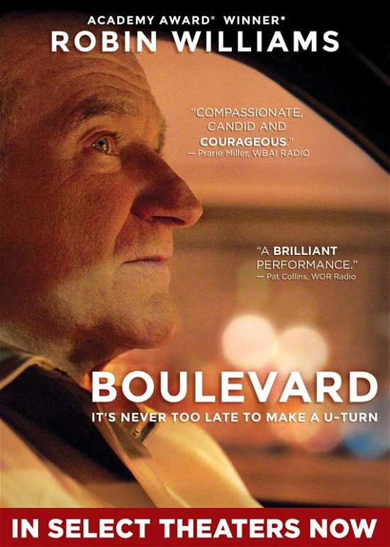 Boulevard - Boulevard - Films - Anchor Bay - 0013132634395 - 1 septembre 2015