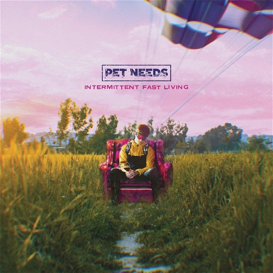 Cover for Pet Needs · Intermittent Fast Living (CD) (2024)