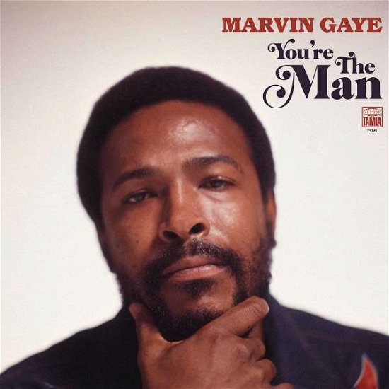 Cover for Marvin Gaye · You're The Man (LP) [Limited edition] (2019)
