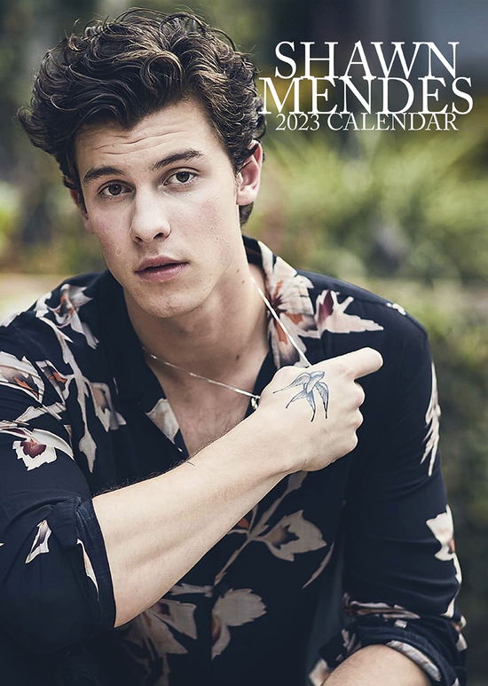 Shawn Mendes 2023 Unofficial Calendar - Shawn Mendes - Marchandise - VYDAVATELSTIVI - 0617285008395 - 1 juin 2022