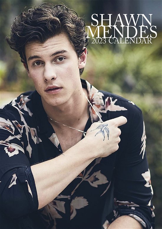 Cover for Shawn Mendes · Shawn Mendes 2023 Unofficial Calendar (Kalender) (2022)