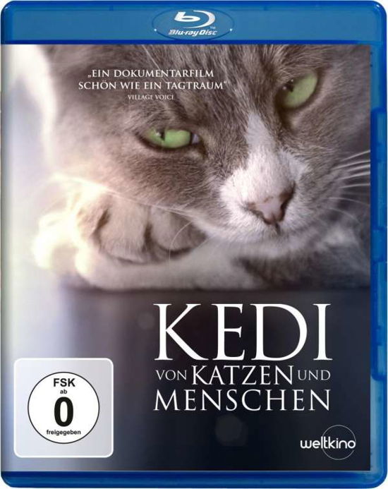 Cover for Kedi-von Katzen Und Menschen BD (Blu-ray) (2017)