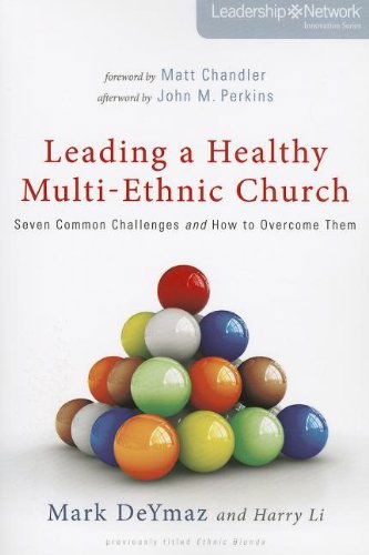 Cover for Mark DeYmaz · Leading a Healthy Multi-Ethnic Church: Seven Common Challenges and How to Overcome Them - Leadership Network Innovation Series (Taschenbuch) (2013)