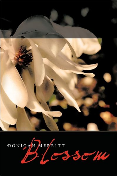 Cover for Donigan Merritt · Blossom (Hardcover Book) (2011)