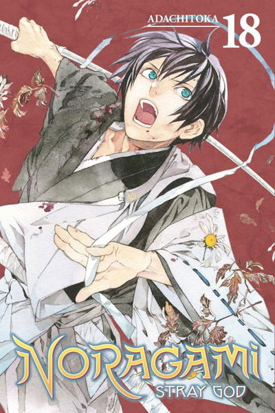 Cover for Adachitoka · Noragami: Stray God 19 (Paperback Book) (2018)