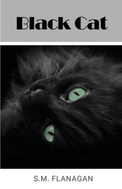 Black Cat - S. M. Flanagan - Books - Terence Publishing, Michael - 9781800945395 - April 14, 2023