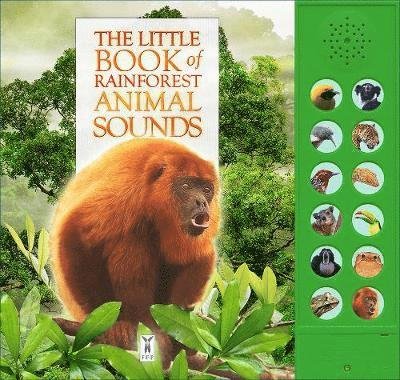 Cover for Andrea Pinnington · The Little Book of Rainforest Animal Sounds (Board book) (2019)