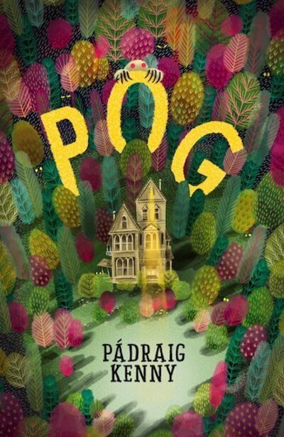 Cover for Padraig Kenny · Pog (Paperback Book) (2019)