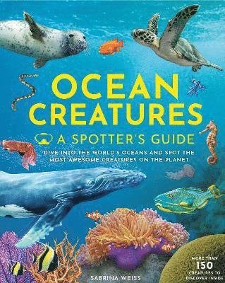 Cover for Sabrina Weiss · Ocean Creatures: A Spotter's Guide - A Spotter's Guide (Hardcover Book) (2024)