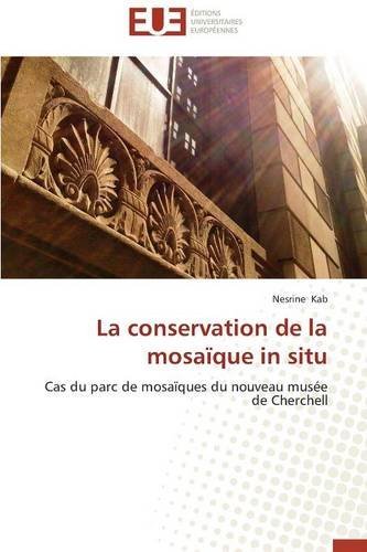 Cover for Kab Nesrine · La Conservation De La Mosaique in Situ (Pocketbok) [French edition] (2018)