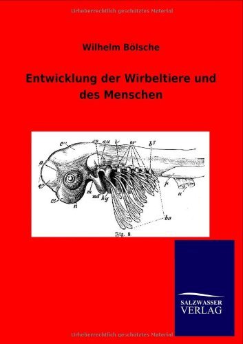 Cover for Wilhelm Bölsche · Entwicklung Der Wirbeltiere Und Des Menschen (Paperback Book) [German edition] (2012)