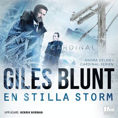 Cover for Giles Blunt · Cardinal-serien: En stilla storm (Audiobook (MP3)) (2020)