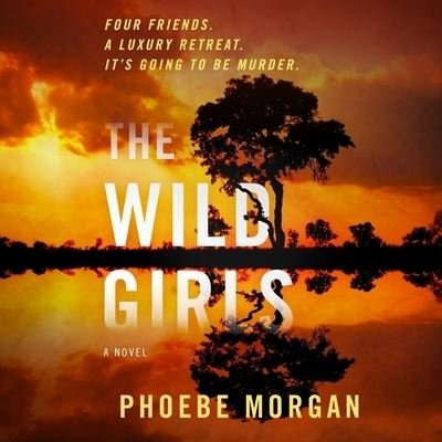 Cover for Phoebe Morgan · The Wild Girls (CD) (2022)