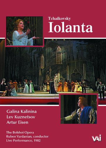 Cover for Borodin / Nesterenko / Sinyavskaya / Eemler · Prince Igor (DVD) (2010)