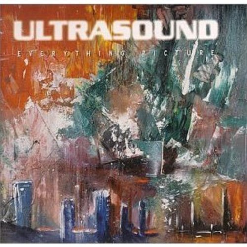 Cover for Ultrasound · Everything Picture (LP) (2010)