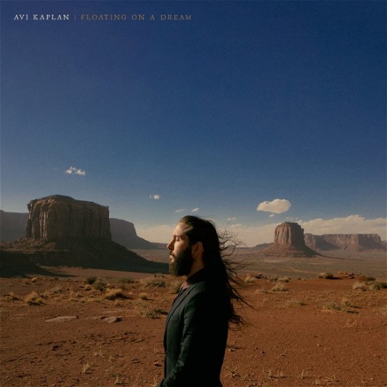 Cover for Avi Kaplan · Floating on a Dream (Indie Exclusive Black Ice Vinyl) (LP) [Coloured edition] (2022)