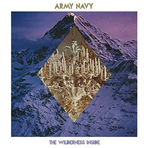 Cover for Army Navy · Wilderness Inside (CD) (2014)