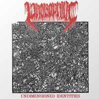 Cover for Phobophilic · Undimensioned Identities (LP) (2020)