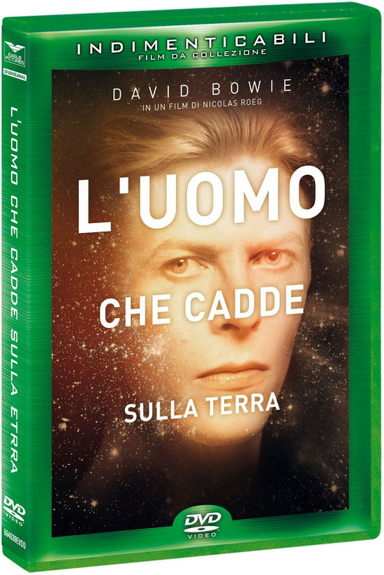 Cover for Uomo Che Cadde Sulla Terra (L' (DVD) (2017)