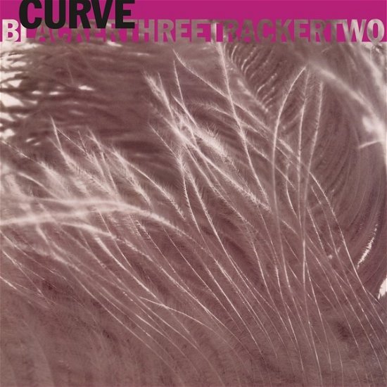 Cover for Curve · Blackerthreetrackertwo (LP) (2023)