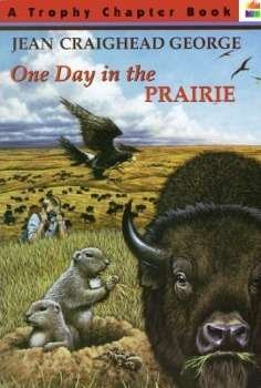 One Day in the Prairie - Jean Craighead George - Bøker - Newbury House Publishers,U.S. - 9780064420396 - 12. april 1996