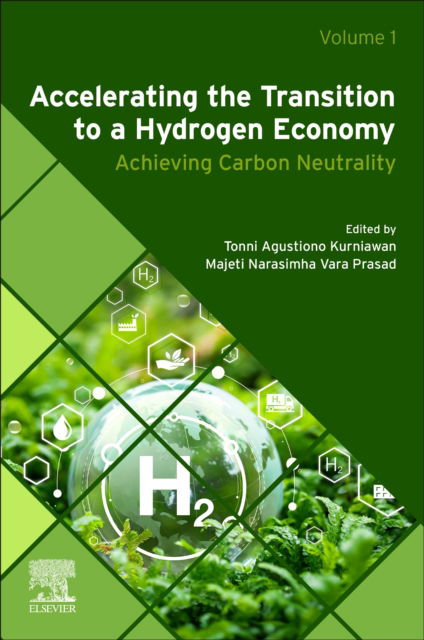 Accelerating the Transition to a Hydrogen Economy: Achieving Carbon Neutrality (Pocketbok) (2024)