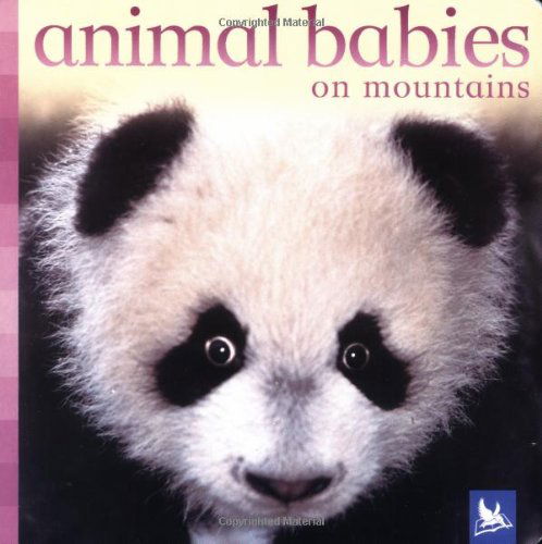 Cover for Editors of Kingfisher · Animal Babies on Mountains (Board book) [Brdbk edition] (2005)