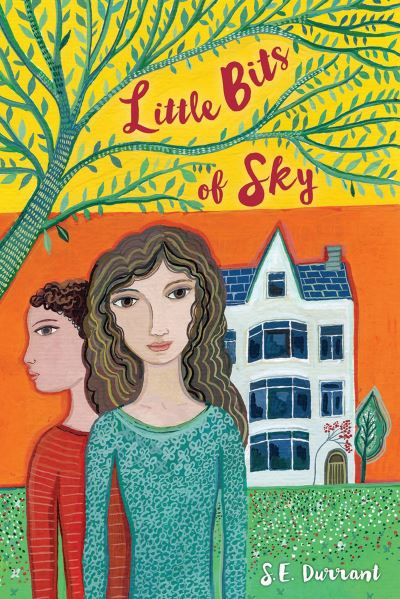 Cover for S. E. Durrant · Little bits of sky (Book) [First American edition. edition] (2017)