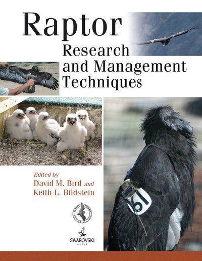 Cover for David M. Bird · Raptor Research and Management Techniques (Pocketbok) (2007)