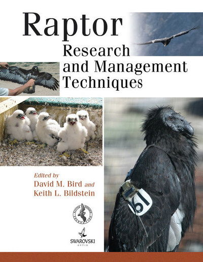 Raptor Research and Management Techniques - David M. Bird - Books - Hancock House Publishers Ltd ,Canada - 9780888396396 - November 29, 2007