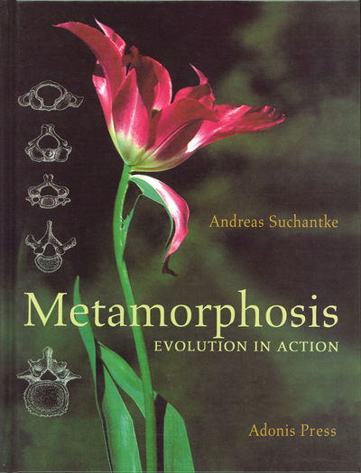 Cover for Andreas Suchantke · Metamorphosis: Evolution in Action (Hardcover Book) (2010)