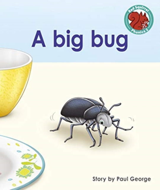 Cover for Paul George · A big bug - Red Squirrel Phonics Level 2 (Paperback Book) (2021)