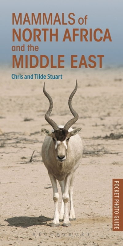 Cover for Chris Stuart · Mammals of North Africa and the Middle East - Pocket Photo Guides (Paperback Book) (2016)