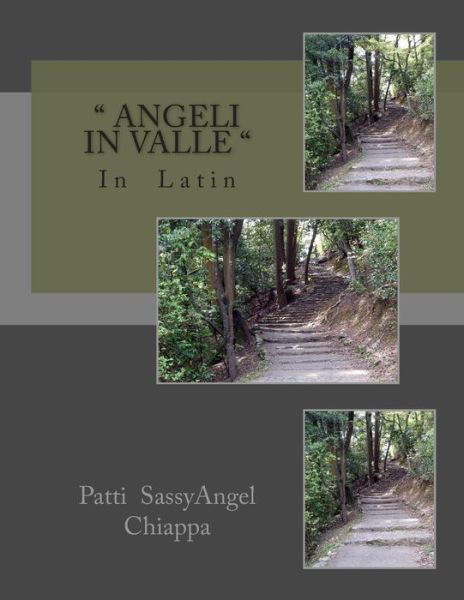 Cover for Patti Sassy Angel Chiappa · &quot; Angeli in Valle &quot; (Paperback Book) [Latin, Lrg edition] (2014)