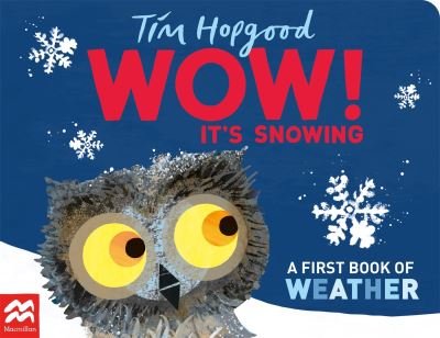 Cover for Tim Hopgood · WOW! It's Snowing: A First Book of Weather (Tavlebog) (2023)