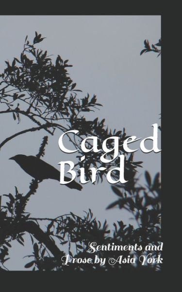 Cover for Asia York · Caged Bird (Paperback Book) (2020)