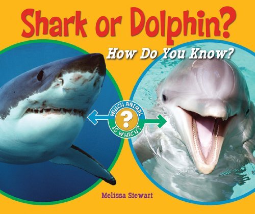 Cover for Melissa Stewart · Shark or Dolphin?: How Do You Know? (Which Animal is Which?) (Pocketbok) (2011)