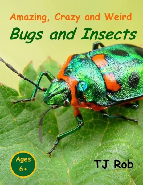 Cover for TJ Rob · Amazing, Crazy and Weird Bugs and Insects (Paperback Bog) (2016)
