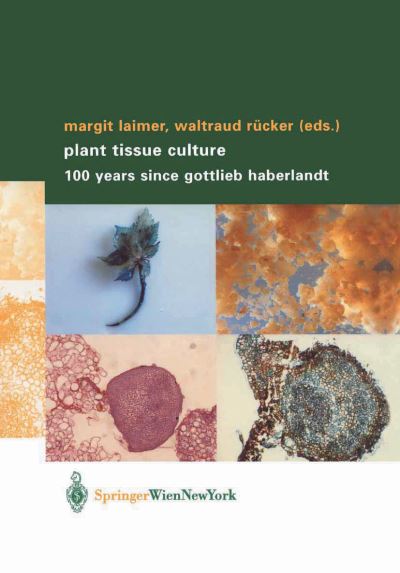 Cover for Margit Laimer · Plant Tissue Culture: 100 years since Gottlieb Haberlandt (Paperback Book) [Softcover reprint of the original 1st ed. 2003 edition] (2003)